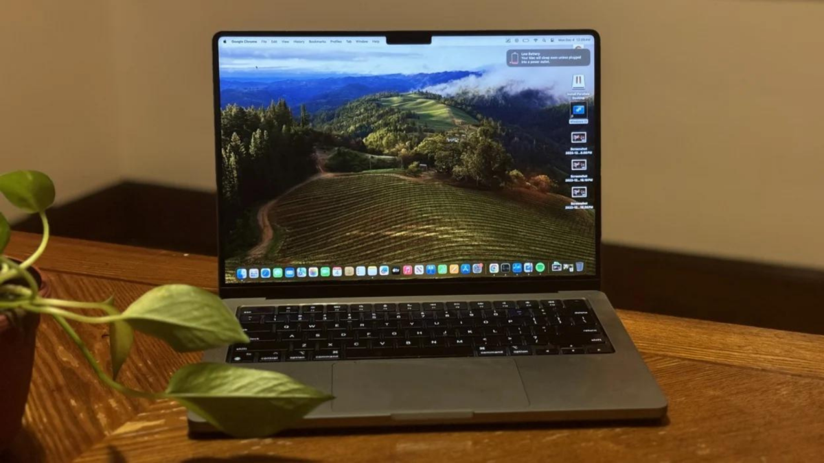 8 Best Laptops for Graphic Design Beginners in 2025